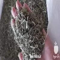 قیمت خرید عمده آویشن دنایی در گروه خرید و فروش گیاهان دارویی در یکمیوه