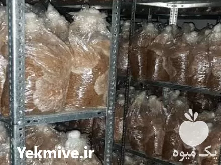 قیمت خرید کمپوست قارچ گانودرما در مشهد در گروه خرید و فروش قارچ در یکمیوه -عکس1