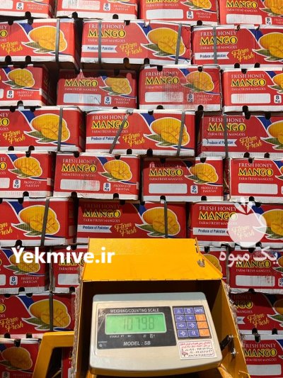 انبه درجه یک پاکستان در گروه خرید و فروش انبه در یکمیوه -عکس1