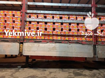 انبه درجه یک پاکستان در گروه خرید و فروش انبه در یکمیوه -عکس2