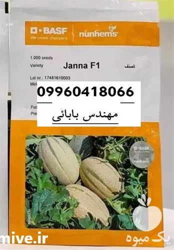 قیمت خرید بذر ملون جانا در هرمز در گروه خرید و فروش بذر ملون در یکمیوه -عکس1