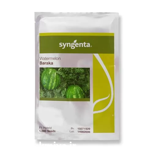 فروش بذر هندوانه باراکا خطی گرد در گروه خرید و فروش بذر هندوانه در یکمیوه -عکس1