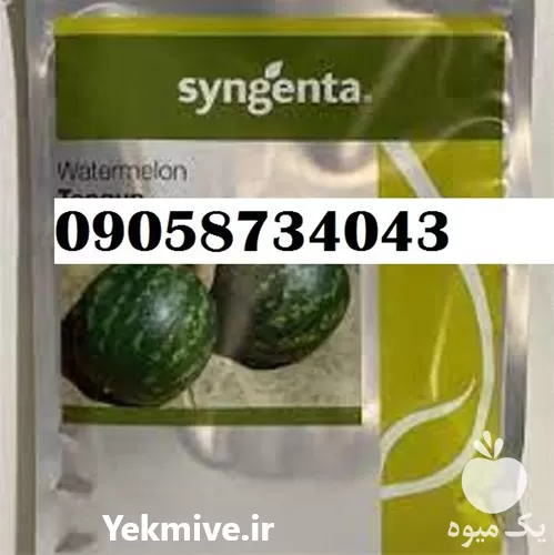 قیمت خرید بذر گالاتا در گروه خرید و فروش انواع بذر در یکمیوه -عکس1
