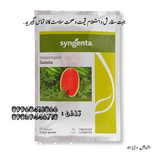 بذر هندوانه درجه یک با ارسال در بوشهر در گروه خرید و فروش بذر هندوانه در یکمیوه -عکس1