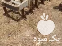 قیمت خرید چیزل دست ساز 11 شاخه در گروه خرید و فروش چیزل در یکمیوه -عکس1