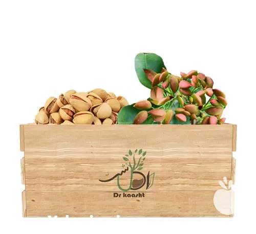 قیمت خرید عمده نهال پسته فندقی در آذربایجان غربی در گروه خرید و فروش نهال پسته در یکمیوه -عکس1