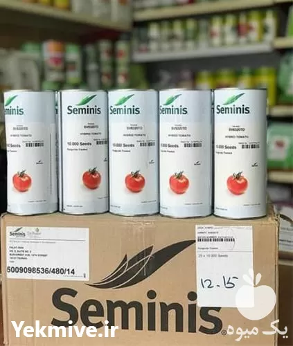 انواع بذر گوجه فرنگی بریویو 61898320 در کرمان  در گروه خرید و فروش بذر گوجه در یکمیوه -عکس1