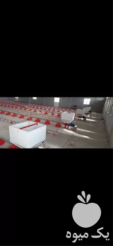 نصب تعمیرات کلیه وسایل مرغداری در همدان در گروه تجهیزات مرغداری در یکمیوه -عکس1