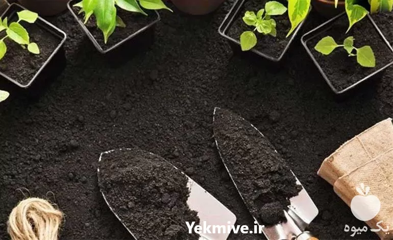 خرید خاک آپارتمانی بسته بندی شده در تهران در گروه انواع محصولات خاک و تغذیه در یکمیوه -عکس1