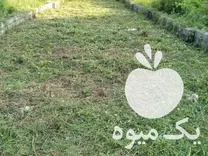 علفتراشی و کلیه کارهای باغبانی در نوشهر در گروه خدمات شخم زنی در یکمیوه -عکس1