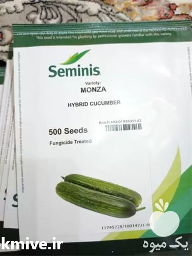 قیمت خرید بذر خیار مونزا در یزد در گروه خرید و فروش بذر خیار در یکمیوه -عکس1