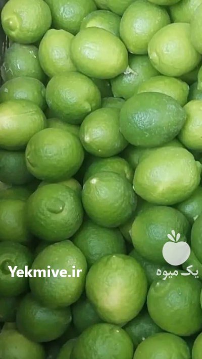 لیمو ترش در تجریش در تهران در گروه خرید و فروش لیمو ترش در یکمیوه -عکس1