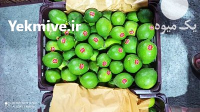 لیمو ترش در تجریش در تهران در گروه خرید و فروش لیمو ترش در یکمیوه -عکس4