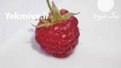 فروش میوه رزبری و بلک بری در شاهین دژ در گروه خرید و فروش میوه استوایی در یکمیوه -عکس2