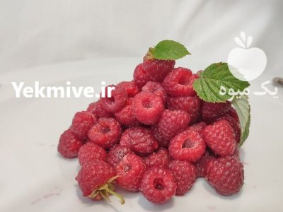 فروش میوه رزبری و بلک بری در شاهین دژ در گروه خرید و فروش میوه استوایی در یکمیوه -عکس1