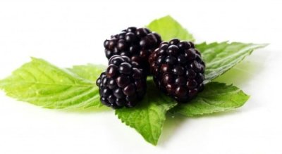 فروش میوه رزبری و بلک بری در شاهین دژ در گروه خرید و فروش میوه استوایی در یکمیوه -عکس4