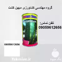 بذر هندوانه خطی سامانتا در کرمان  در گروه خرید و فروش بذر هندوانه در یکمیوه