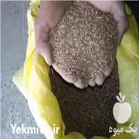قیمت خرید مستقیم کنجد در گروه خرید و فروش دانه های روغنی در یکمیوه