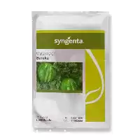 فروش بذر هندوانه باراکا خطی گرد در گروه خرید و فروش بذر هندوانه در یکمیوه