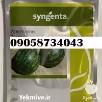 قیمت خرید بذر گالاتا در گروه خرید و فروش انواع بذر در یکمیوه