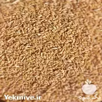 فروش بذر گندم خلیل زاده در گروه خرید و فروش بذر گندم در یکمیوه
