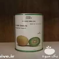 قیمت خرید بذر طالبی سمسوری در گروه خرید و فروش بذر طالبی در یکمیوه