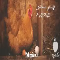 قیمت خرید تخم مرغ نطفه دار در هرمز در گروه انواع تخم ها در یکمیوه