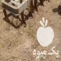 قیمت خرید چیزل دست ساز 11 شاخه در گروه خرید و فروش چیزل در یکمیوه