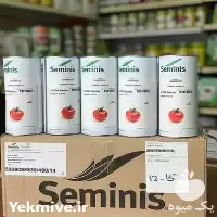 انواع بذر گوجه فرنگی بریویو 61898320 در کرمان  در گروه خرید و فروش بذر گوجه در یکمیوه