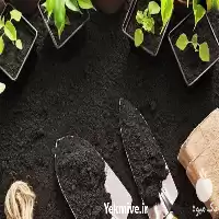 خرید خاک آپارتمانی بسته بندی شده در تهران در گروه انواع محصولات خاک و تغذیه در یکمیوه