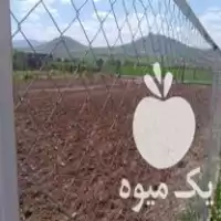 فنس کشی دور باغ کاری تضمینی در بوکان در گروه خرید و فروش فنس در یکمیوه