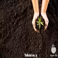 خاک کوکوپیت بسته بندی فقط عمده در تهران در گروه خرید و فروش انواع کود کشاورزی در یکمیوه