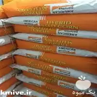 قیمت خرید بذر ذرت امریکن ژنتیک در ایلام در گروه خرید و فروش بذر ذرت در یکمیوه