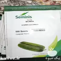 قیمت خرید بذر خیار مونزا در یزد در گروه خرید و فروش بذر خیار در یکمیوه