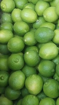 لیمو ترش در تجریش در تهران در گروه خرید و فروش لیمو ترش در یکمیوه