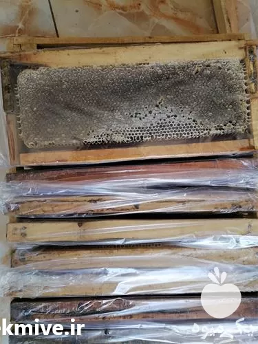 توزیع عسل عمده موم دار شهد در گروه عسل شیره و فرآورده ی مربا در یکمیوه -عکس1