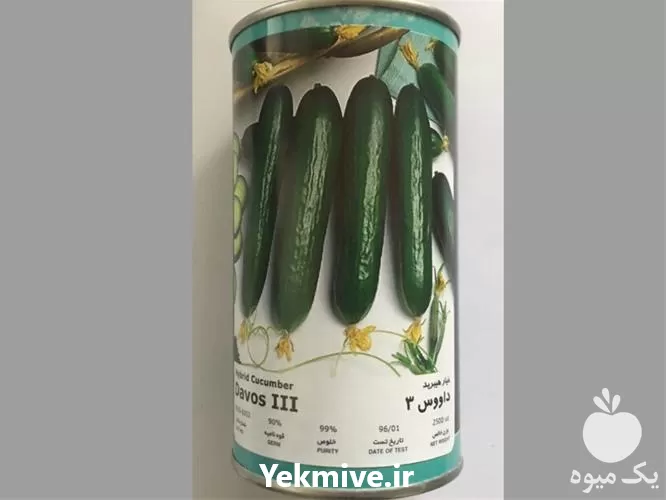 خرید بذر خیار داووس  عملکرد بالا در گروه خرید و فروش بذر خیار در یکمیوه -عکس1