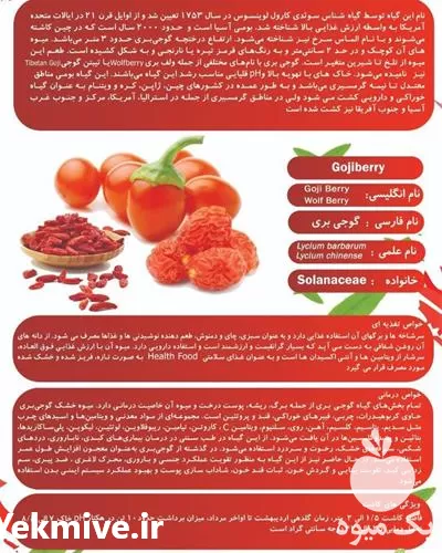 خرید و فروش نهال گوجی بری در گروه خرید و فروش نهال در یکمیوه -عکس1