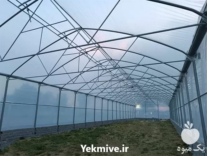 ساخت سازه گلخانه در مازندران در گروه خرید و فروش سوله و سازه گلخانه در یکمیوه -عکس1