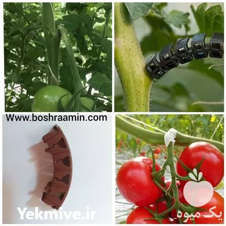 قیمت خرید گیره پشتیبان بوته در تهران در گروه خرید و فروش تجهیزات گلخانه در یکمیوه -عکس1