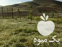 علف زنی باغات و ویلا در گروه خدمات باغبانی در یکمیوه -عکس1
