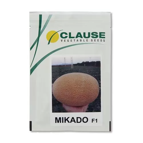 خرید عرضه بذر خربزه آناناسی میکادو در تهران در گروه خرید و فروش بذر خربزه در یکمیوه -عکس1