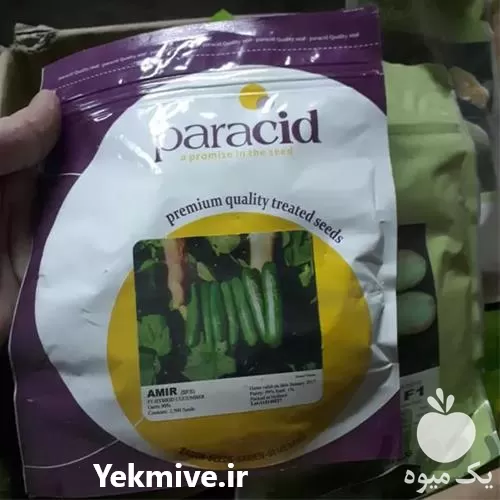 فروش بذر کدو خورشتی اصل در تهران در گروه خرید و فروش بذر کدو در یکمیوه -عکس1