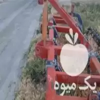 فروش چیزل 9 شاخه نوروزی ترک در قروه در گروه خرید و فروش چیزل در یکمیوه