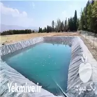 فروش ساخت استخر پلیمری ژئوممبران در شیراز در گروه خرید و فروش ژئوممبران و ژئوتکستایل در یکمیوه