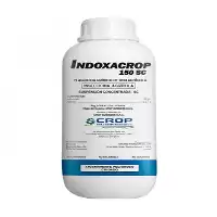 حشره کش آوانت برای  از بین در کرمانشاه در گروه خرید و فروش انواع سم در یکمیوه