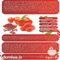 خرید و فروش نهال گوجی بری در گروه خرید و فروش نهال در یکمیوه