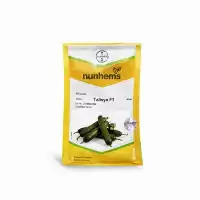 خرید بذر خیار گلخانه ای تک در آذربایجان غربی در گروه خرید و فروش بذر خیار در یکمیوه