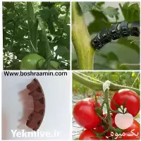 قیمت خرید گیره پشتیبان بوته در تهران در گروه خرید و فروش تجهیزات گلخانه در یکمیوه