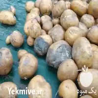 خرید تبدیل تفاله تر به خوراک در گروه خوراک دام و طیور در یکمیوه